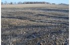 Property photo 33 - East Allen County - 55 Acre Land Auction